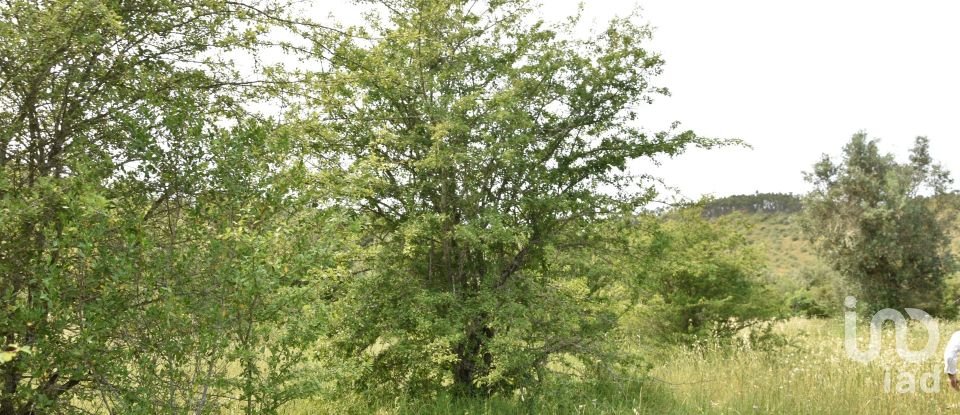 Terreno em Chãos de 4 800 m²