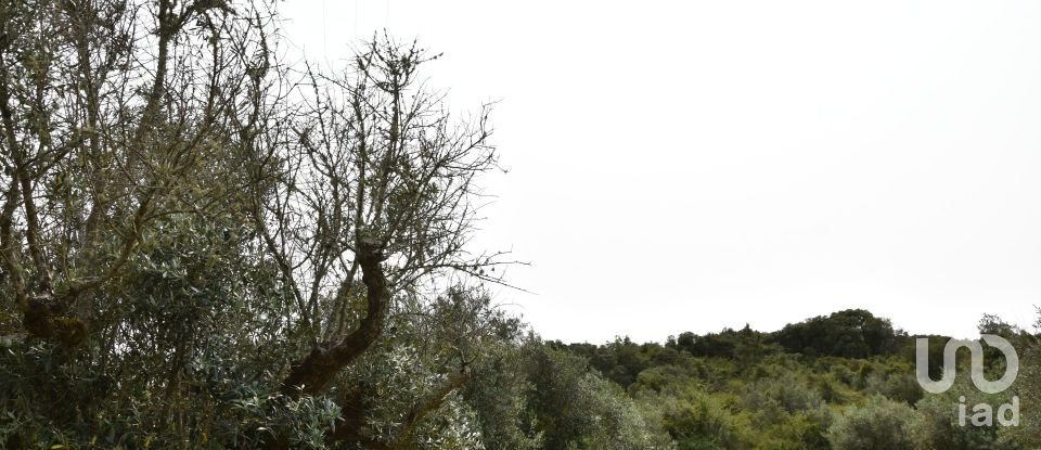 Terreno em Chãos de 4 800 m²
