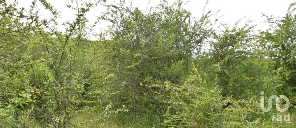 Terreno em Chãos de 4 800 m²