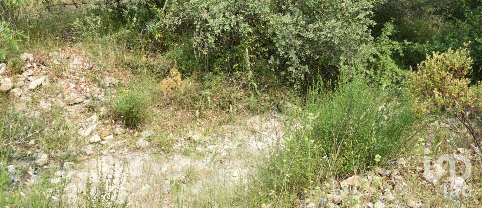 Terreno em Chãos de 4 800 m²