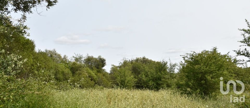 Terreno em Chãos de 4 800 m²