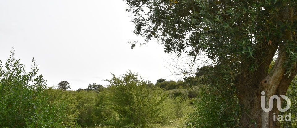 Terreno em Chãos de 4 800 m²