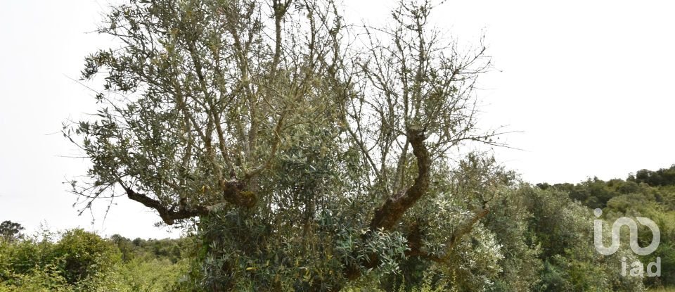 Terreno em Chãos de 4 800 m²