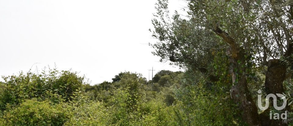 Terreno em Chãos de 4 800 m²