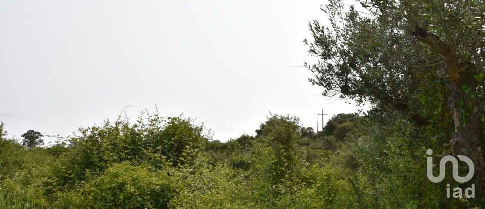 Terreno em Chãos de 4 800 m²