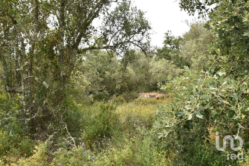 Land in Chãos of 4,120 m²