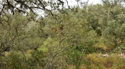 Terrain à Chãos de 4 120 m²