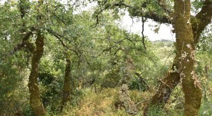 Terrain à Chãos de 4 120 m²