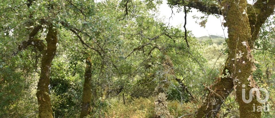 Land in Chãos of 4,120 m²