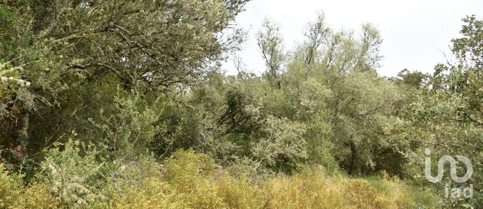 Land in Chãos of 4,120 m²