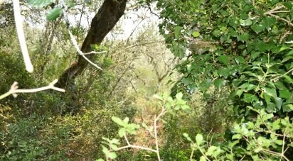 Terrain à Chãos de 4 120 m²