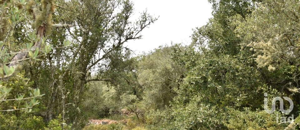 Land in Chãos of 4,120 m²