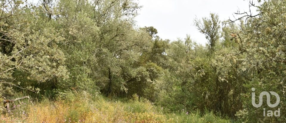 Land in Chãos of 4,120 m²