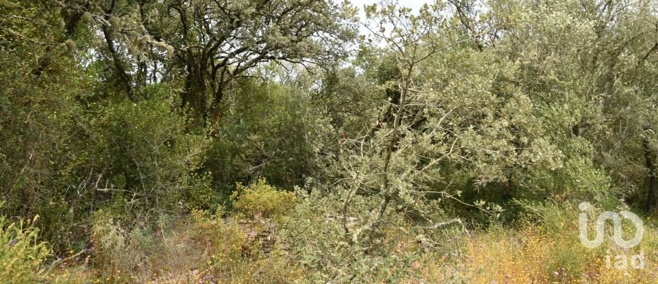 Land in Chãos of 4,120 m²