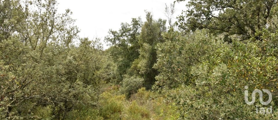 Land in Chãos of 4,120 m²