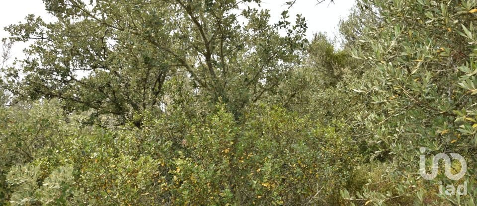 Land in Chãos of 4,120 m²