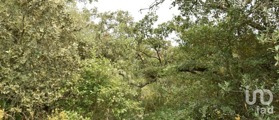 Land in Chãos of 4,120 m²