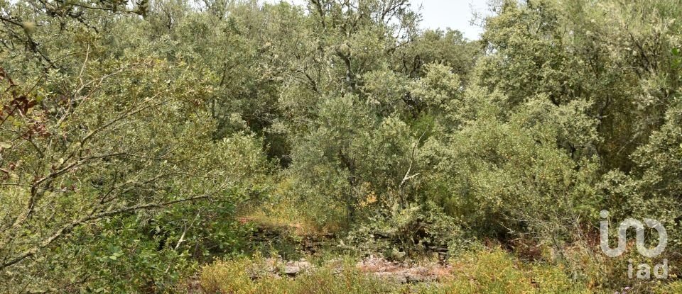 Land in Chãos of 4,120 m²