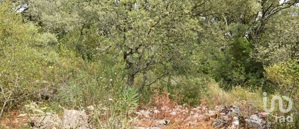 Land in Chãos of 4,120 m²