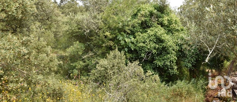 Land in Chãos of 4,120 m²