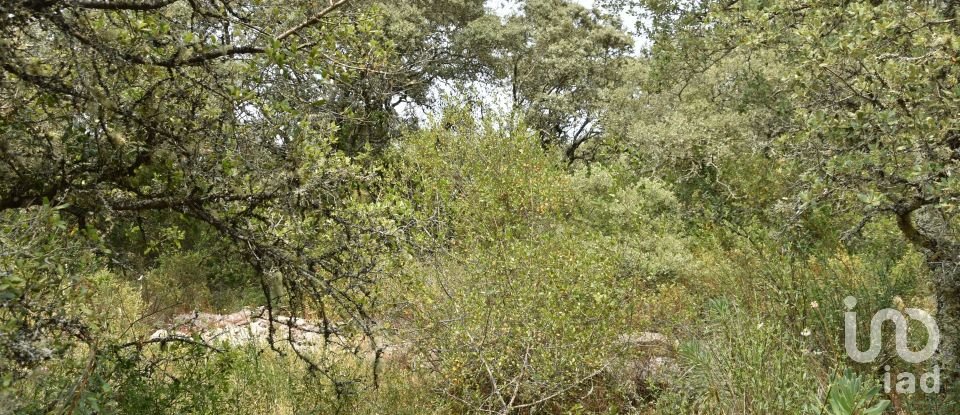 Land in Chãos of 4,120 m²