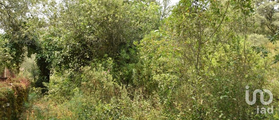 Land in Chãos of 4,120 m²