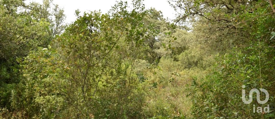 Land in Chãos of 4,120 m²