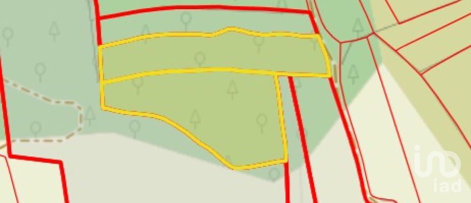 Land in Chãos of 4,120 m²