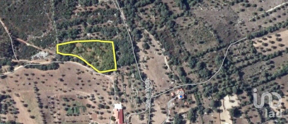 Land in Chãos of 4,120 m²
