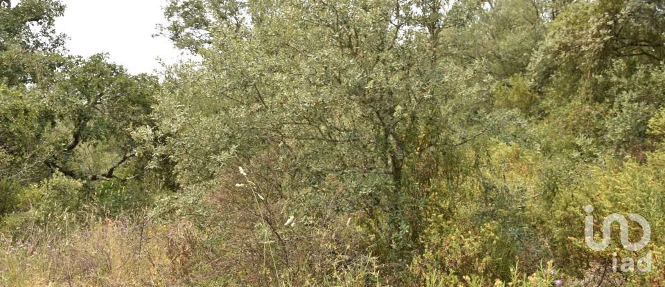 Land in Chãos of 4,120 m²