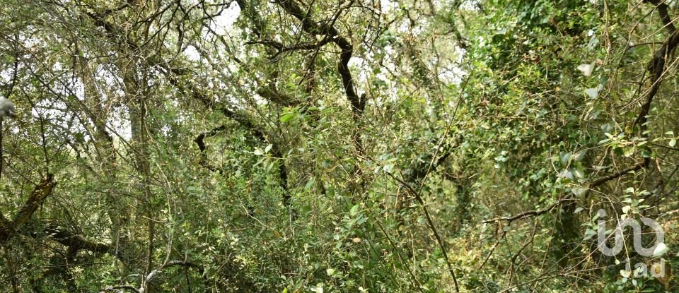 Land in Chãos of 4,120 m²