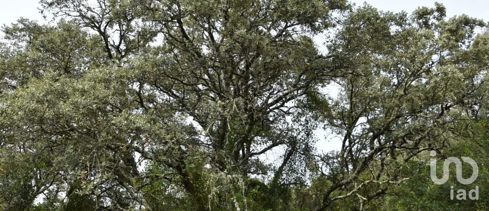 Land in Chãos of 4,120 m²