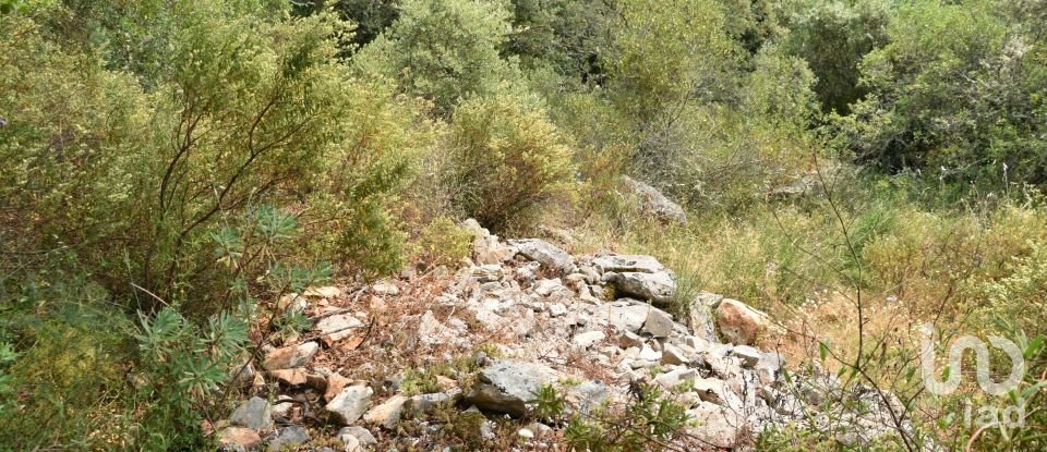 Land in Chãos of 4,120 m²