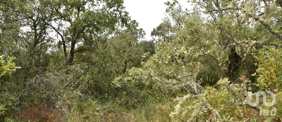 Land in Chãos of 4,120 m²