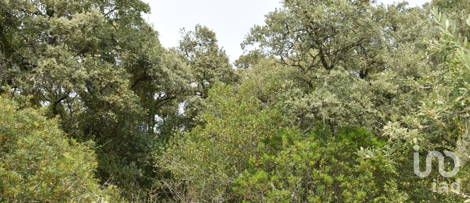 Land in Chãos of 4,120 m²