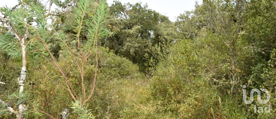 Land in Chãos of 4,120 m²