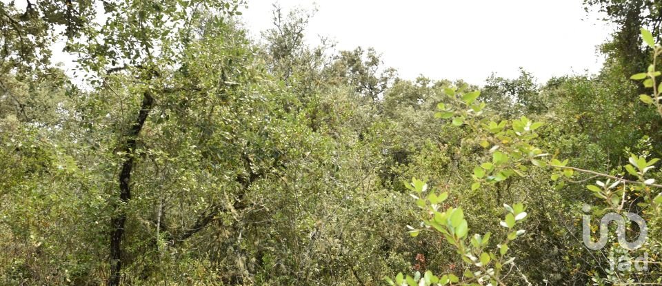 Land in Chãos of 4,120 m²