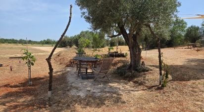 Land in Paderne of 8,280 m²