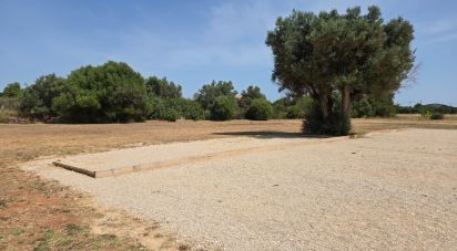 Land in Paderne of 8,280 m²