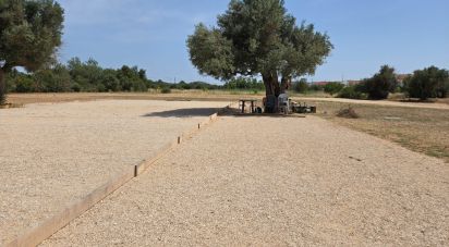 Land in Paderne of 8,280 m²