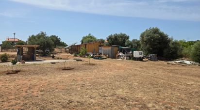 Land in Paderne of 8,280 m²