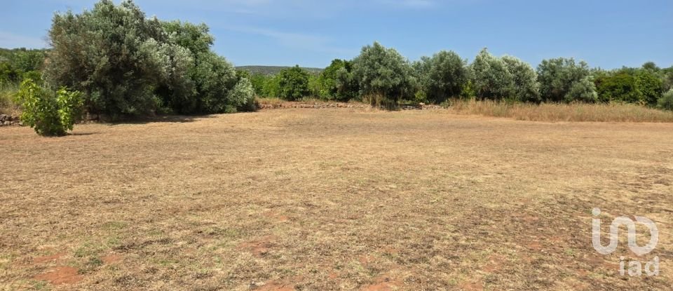 Land in Paderne of 8,280 m²