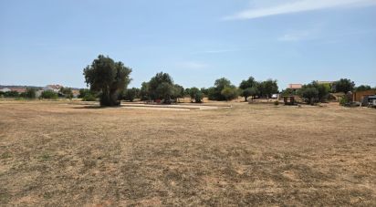 Land in Paderne of 8,280 m²