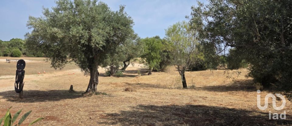 Land in Paderne of 8,280 m²