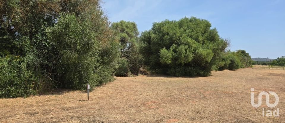 Land in Paderne of 8,280 m²