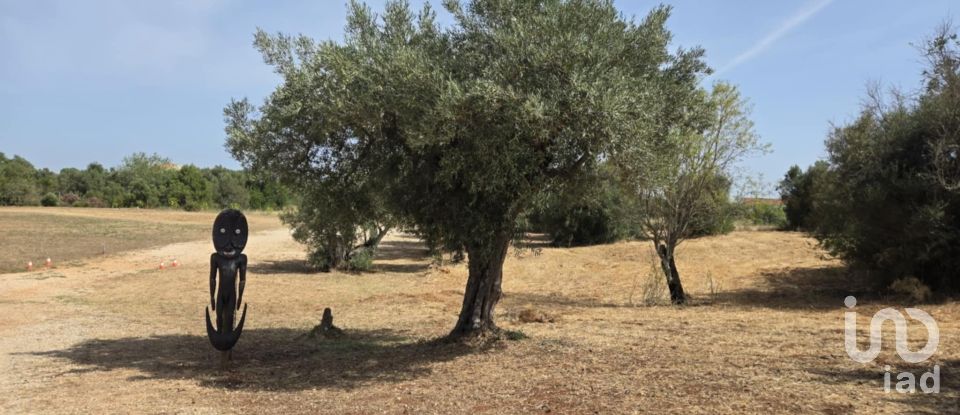 Land in Paderne of 8,280 m²