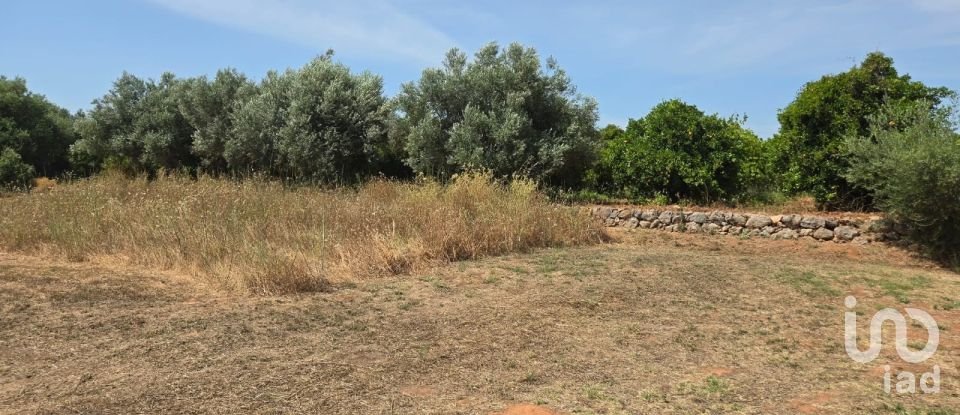 Land in Paderne of 8,280 m²