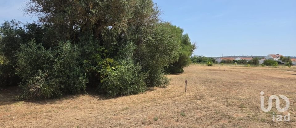 Land in Paderne of 8,280 m²