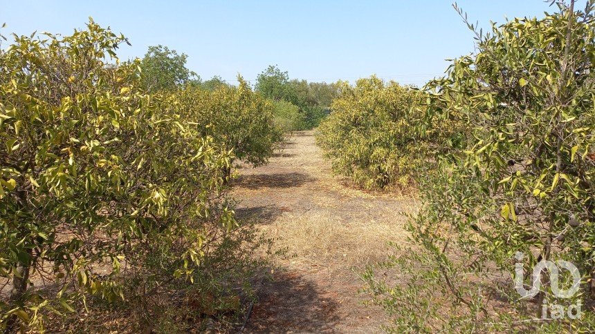 Land in Loulé (São Sebastião) of 2,663 m²