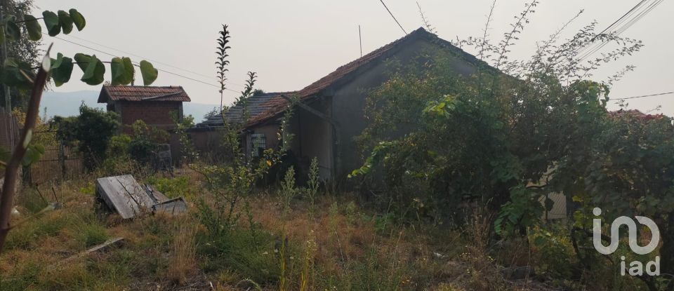 Moradia T2 em Viariz de 340 m²